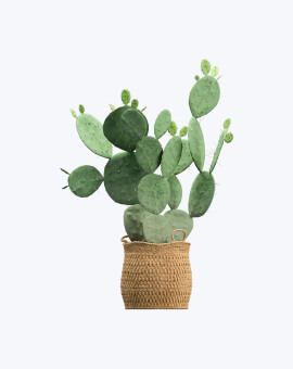 Shop List Image