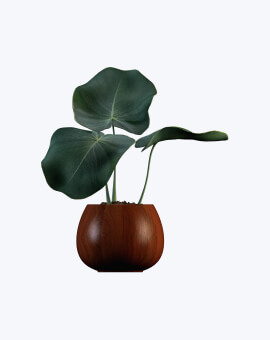 Shop List Image