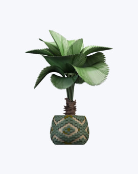 Shop List Image