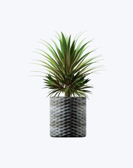 Shop List Image