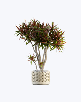 Shop List Image