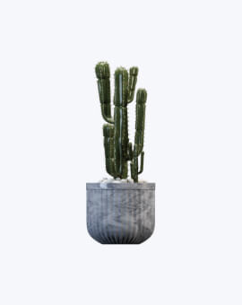 Shop List Image