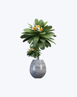 Shop List Image