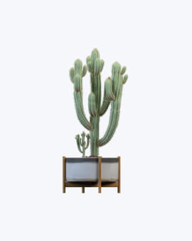 Shop List Image